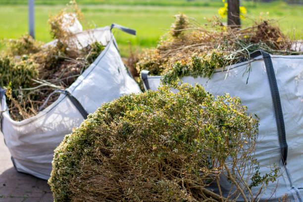  Untain Grove, MO Junk Removal Services Pros